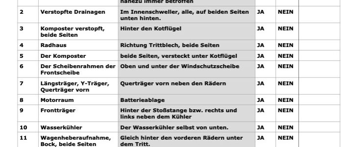 VW T4 - Die DeltaBus Rost Checkliste 10-2025_1